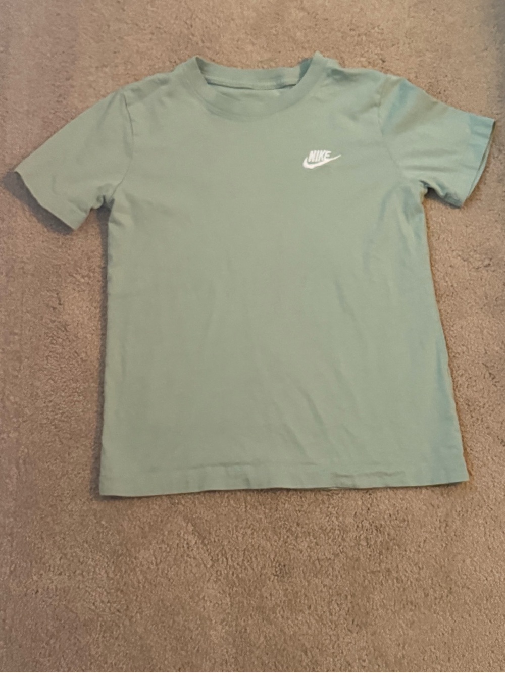Nike The Nike Tee Sage Green Embroidered Logo T-Shirt Women’s Size Medium